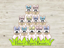 Load image into Gallery viewer, Easter Bunnies Family Cut and Traced Door Hanger